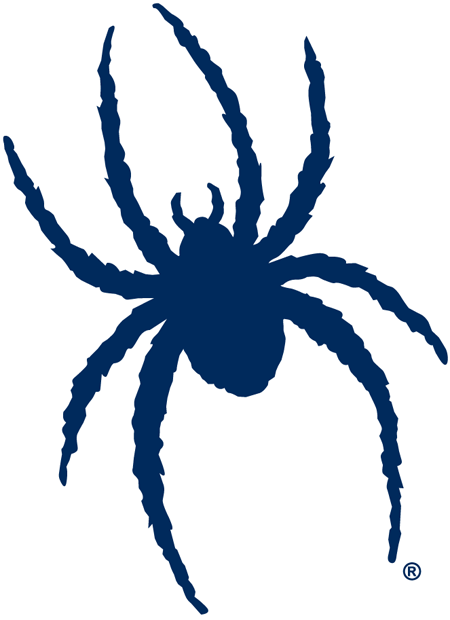 Richmond Spiders iron ons